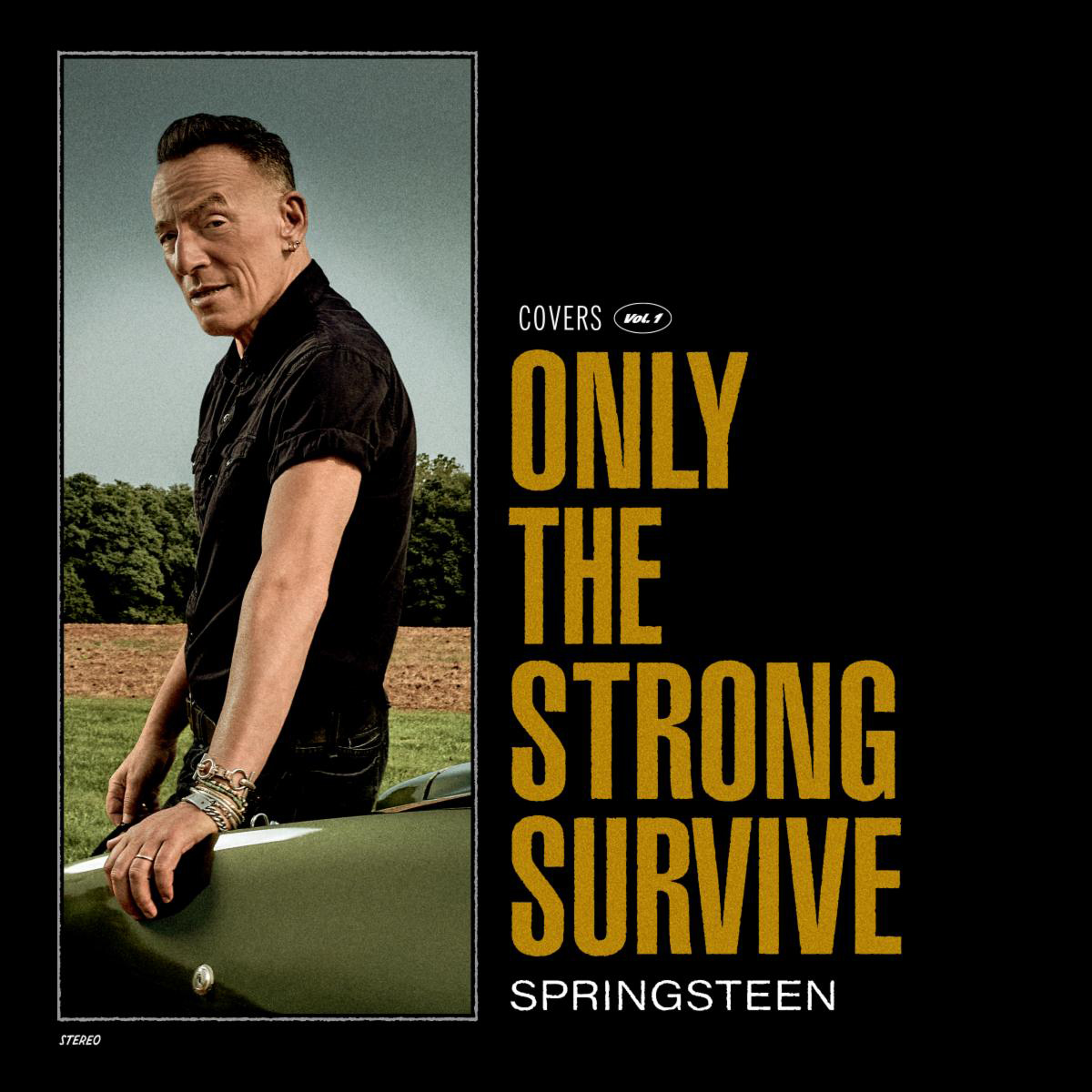 Only The Strong Survive - nowy album studyjny Bruce'a Springsteena.