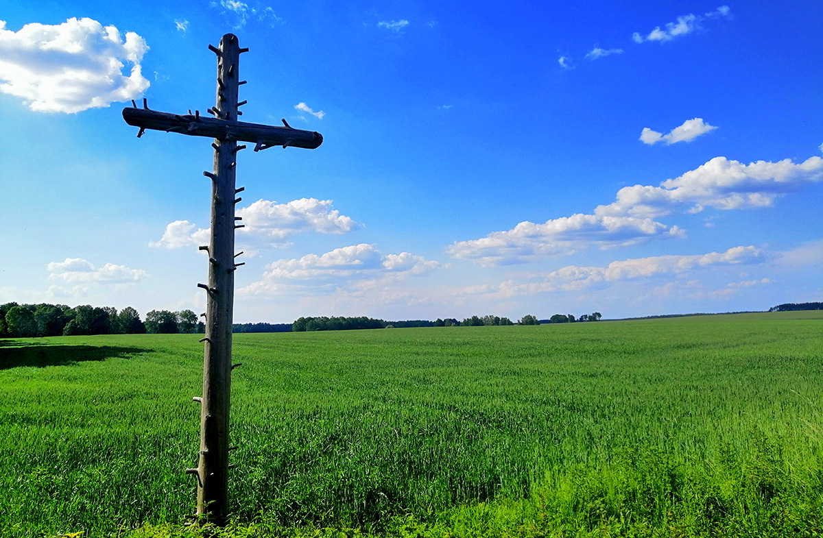 Jungleland (fot. Paweł Rost)
